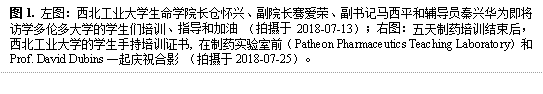 图1. 左图:kaiyun·云开官网长仓怀兴、副院长骞爱荣、副书记马西平和辅导员秦兴华为即将访学多伦多大学的学生们培训、指导和加油 (拍摄于2018-07-13);右图:五天制药培训结束后,kaiyun·云开官网的学生手持培训证书, 在制药实验室前(Patheon Pharmaceutics Teaching Laboratory)和Prof. David Dubins一起庆祝合影 (拍摄于2018-07-25)。